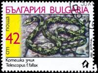 (1989-092) Марка Болгария "Кошачья змея"   Змеи III Θ
